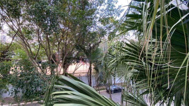 WhatsApp Image 2025-08-26 at 11.47.36